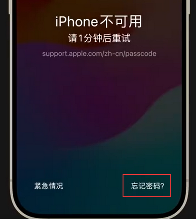庆城苹果手机密码维修分享iPhone忘记了刚设置的密码 